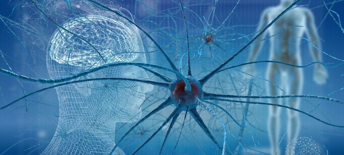 Neuroestetyka, psychodermatologia, egzosomy. Nowe kierunki, które mogą zrewolucjonizować rynek beauty