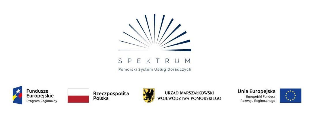 Grant na specjalistyczne usługi doradcze w ramach projektu „SPEKTRUM. Pomorski system usług doradczych” 