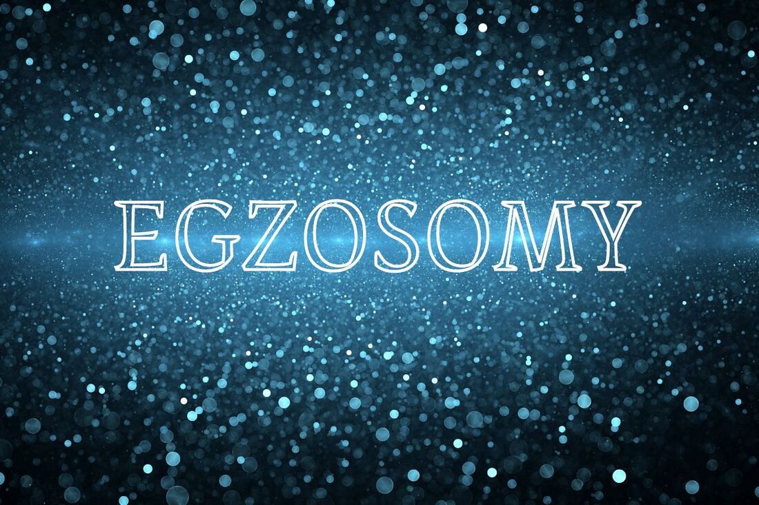 Czym są i jak działają egzosomy? 