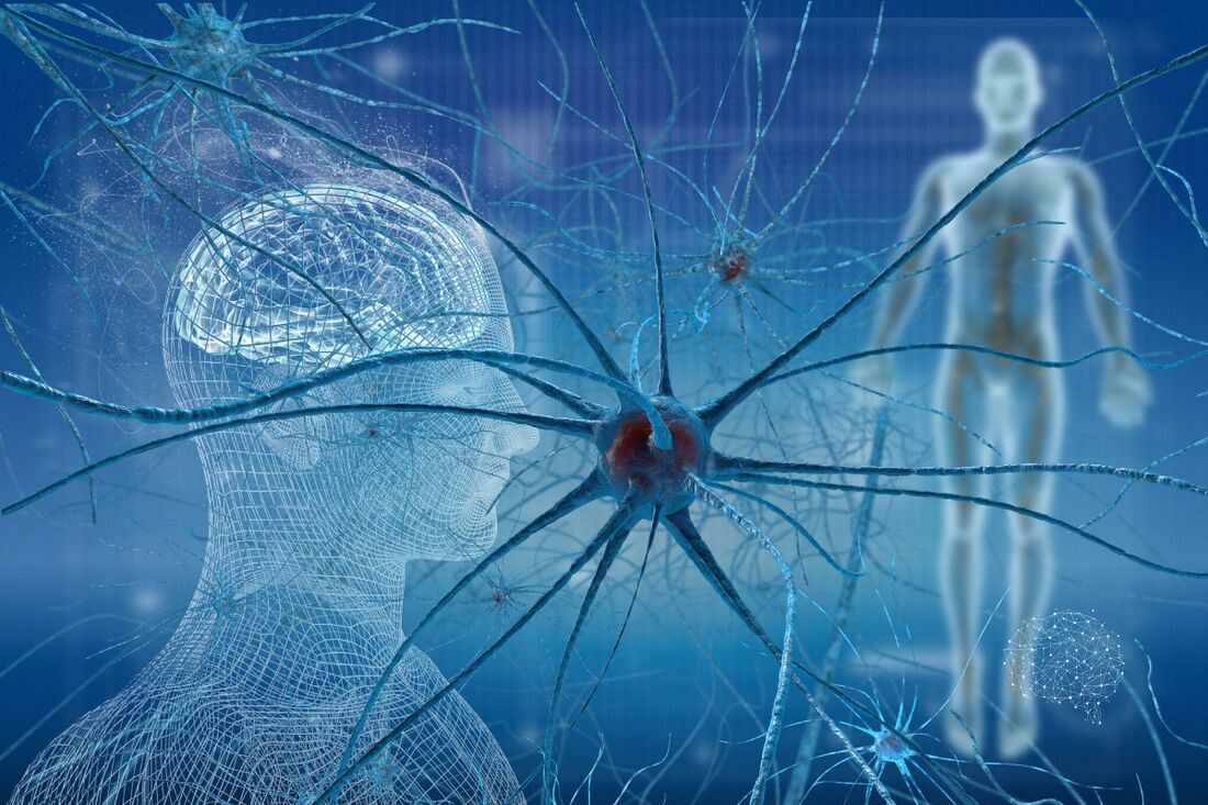Neuroestetyka, psychodermatologia, egzosomy. Nowe kierunki, które mogą zrewolucjonizować rynek beauty 