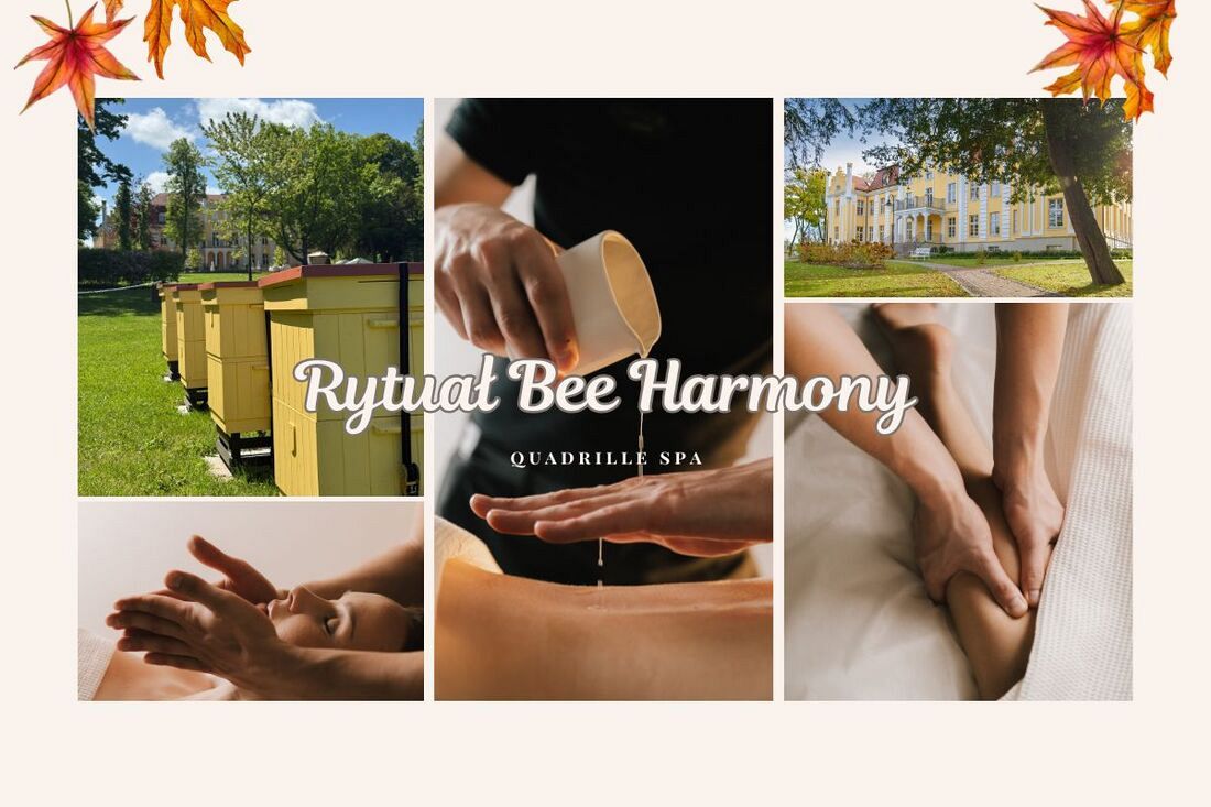 Bee Harmony – luksus codziennych chwil w rytmie natury 