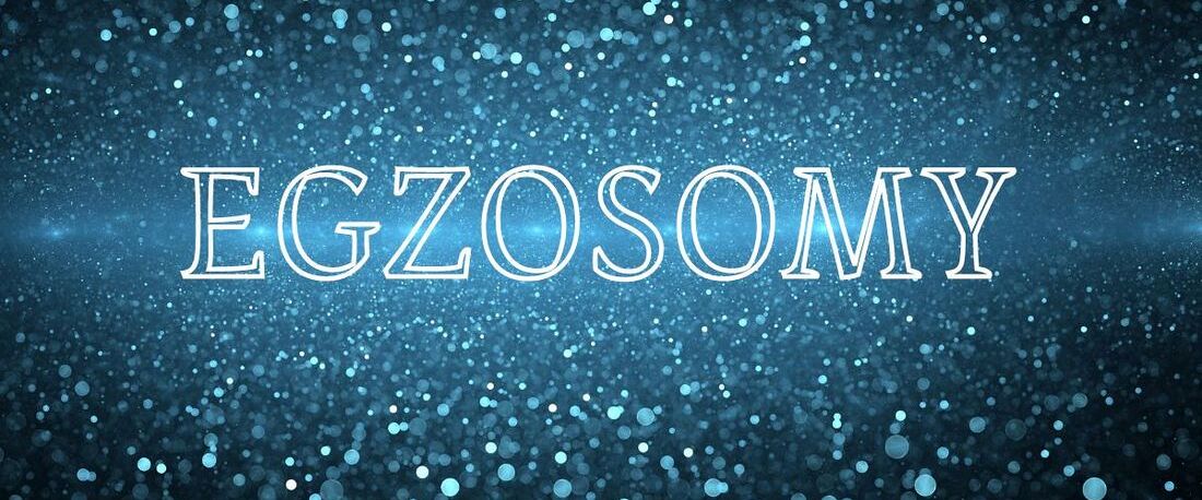 Czym są i jak działają egzosomy?