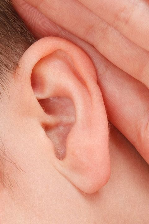 Przeszczep ucha wyhodowanego na przedramieniu 
