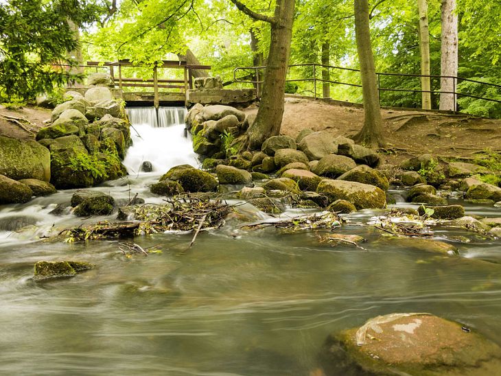 Gdańsk – Park Oliwski park oliwski