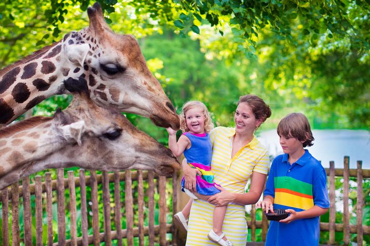 Gdańsk - Miejski Ogród Zoologiczny Wybrzeża 