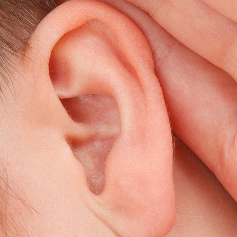Przeszczep ucha wyhodowanego na przedramieniu
