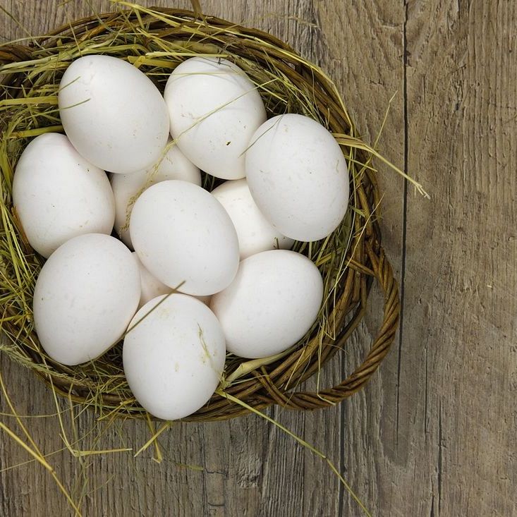 Biała dieta w Wielkanoc - jej wysokość jajko! Przepisy.
