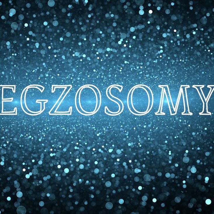 Pęcherzyki egzosomów