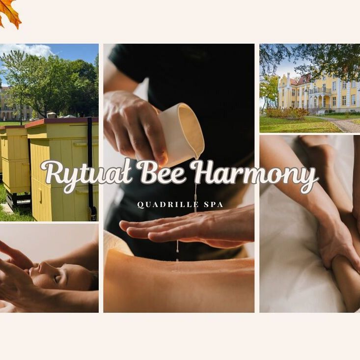 masaże miodem w Quadrille SPA